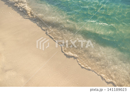 Gentle wave washing over golden sand in soft evening light, closeup of shoreline. Transparent water edge with delicate foam on tropical beach, warm glowing texture. Tranquil natural background 141189023