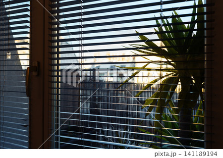 view from window sunset through blinds view from window sunset through blinds 141189194