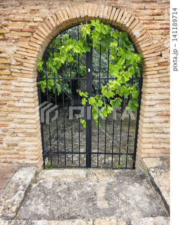 An antique archway made of brick shows a black wrought iron gate. The gate is filled with green grapevine leaves. The setting suggests a garden that is private and lush. An antique archway made of brick shows a black wrought iron gate. The gate is filled with green grapevine leaves. The setting suggests a garden that is private and lush. 141189714