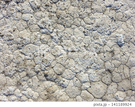 The scene shows a detailed view of dry cracked earth where white mineral sea salt crystals form patterns in a salt marsh under bright sunlight. 141189924