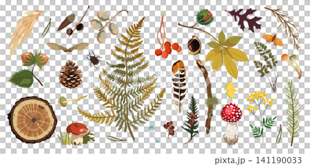 Forest nature collection in vector style with leaves, acorns, chestnuts, pine cones, mushrooms, fern, berries and woodland plants 141190033
