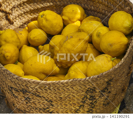 A rustic basket made from esparto grass holds many lemons just picked from trees. This scene reflects a Mediterranean market with fresh fruit available for purchase. A rustic basket made from esparto grass holds many lemons just picked from trees. This scene reflects a Mediterranean market with fresh fruit available for purchase. 141190291