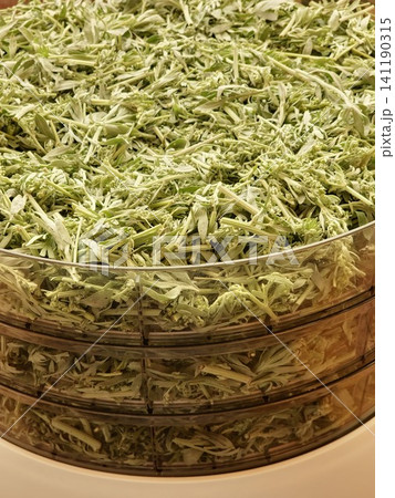 Stacked Dehydrator Trays Filled with Chopped Wormwood Stacked Dehydrator Trays Filled with Chopped Wormwood 141190315