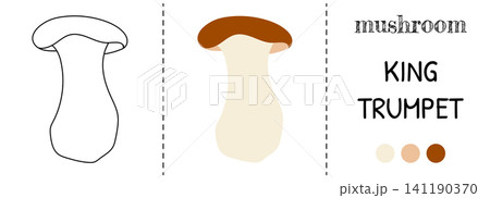 Fall outline flat kawaii book with coloring vector for autumn drawing. Mushroom cute oyster and education garden scene features organic. Moss print with poisonous image and child contour. Fall outline flat kawaii book with coloring vector for autumn drawing. Mushroom cute oyster and education garden scene features organic. Moss print with poisonous image and child contour. 141190370
