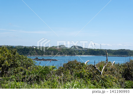 神奈川県 三浦市 城ヶ島から宮川湾方面を見た海と陸の風景 神奈川県 三浦市 城ヶ島から宮川湾方面を見た海と陸の風景 141190993