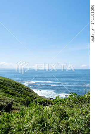 神奈川県 三浦市 城ヶ島の草原と海の風景 神奈川県 三浦市 城ヶ島の草原と海の風景 141191006