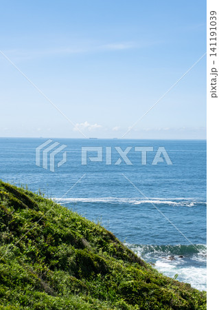 神奈川県 三浦市 城ヶ島の緑の崖と海の風景 神奈川県 三浦市 城ヶ島の緑の崖と海の風景 141191039