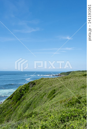 晴れた日の神奈川県 城ヶ島の海岸線の風景 晴れた日の神奈川県 城ヶ島の海岸線の風景 141191061