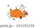 Hand drawn autumn botanical illustration 141191216