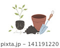 Repotting Houseplant Gardening Illustration 141191220