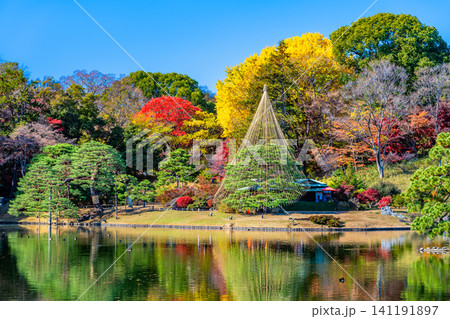 東京 紅葉の六義園 東京 紅葉の六義園 141191897