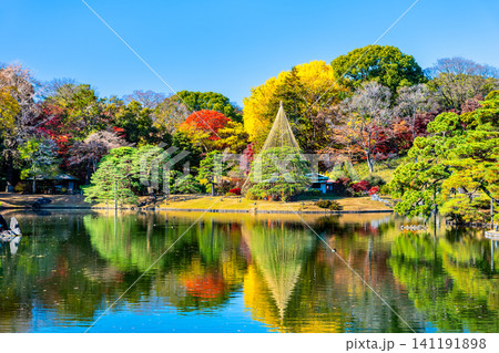 東京 紅葉の六義園 東京 紅葉の六義園 141191898
