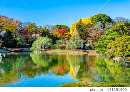 東京 紅葉の六義園 141191900