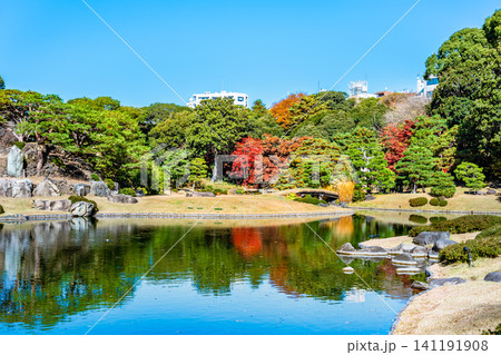 東京 紅葉の六義園 東京 紅葉の六義園 141191908