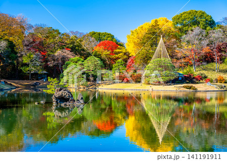 東京 紅葉の六義園 東京 紅葉の六義園 141191911