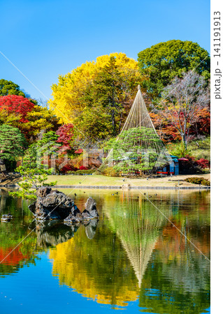 東京 紅葉の六義園 東京 紅葉の六義園 141191913