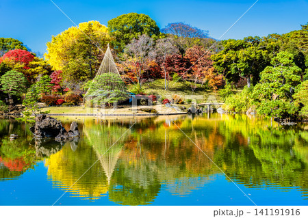 東京 紅葉の六義園 東京 紅葉の六義園 141191916