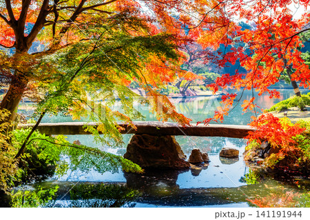 東京 紅葉の六義園 渡月橋 東京 紅葉の六義園 渡月橋 141191944