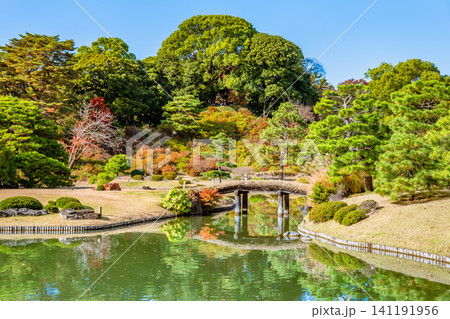 東京 紅葉の六義園 東京 紅葉の六義園 141191956