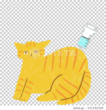 A tabby cat getting an injection A tabby cat getting an injection 141192104
