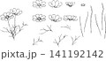 コスモスの線画素材 141192142