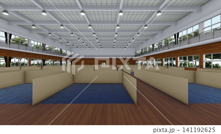 体育館の避難所に設置されたダンボール間仕切り 防災・災害対策イメージ 3Dイラスト 141192625