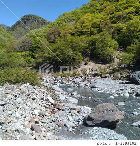 早川本流 141193102