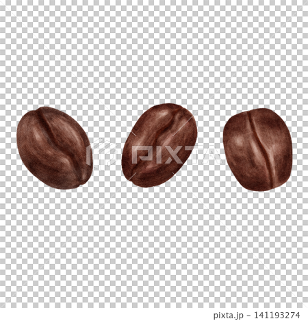 Watercolor paintings of coffee beans (three types) Watercolor paintings of coffee beans (three types) 141193274