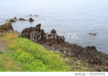 北海道　利尻島　仙法志御崎公園 141193722