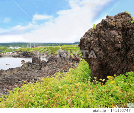 北海道 利尻島 仙法志御崎公園 北海道 利尻島 仙法志御崎公園 141193747