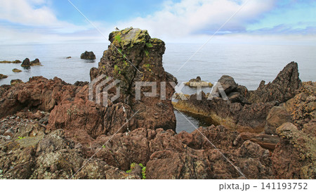 北海道　利尻島　仙法志御崎公園 141193752