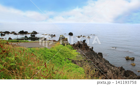 北海道　利尻島　仙法志御崎公園 141193758