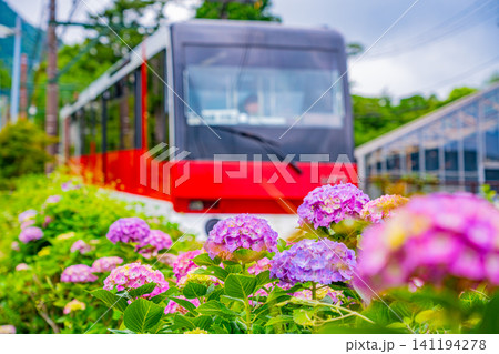 【神奈川県】箱根登山鉄道　あじさい電車 141194278
