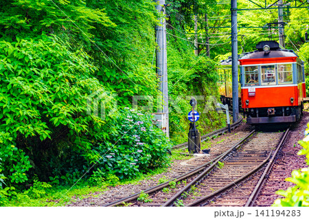 【神奈川県】箱根登山鉄道 あじさい電車 【神奈川県】箱根登山鉄道 あじさい電車 141194283