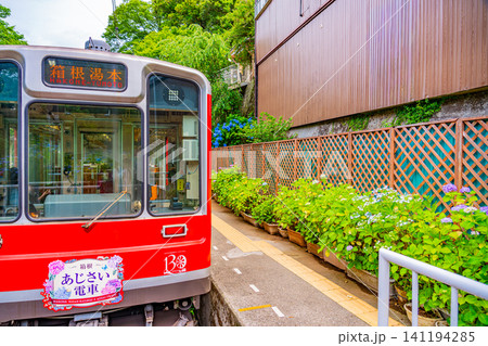 【神奈川県】箱根登山鉄道 あじさい電車 【神奈川県】箱根登山鉄道 あじさい電車 141194285