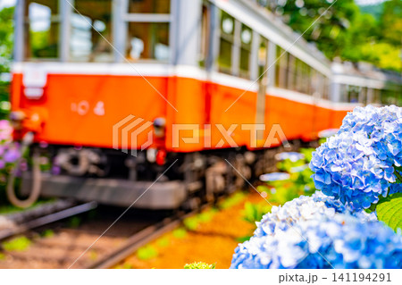 【神奈川県】箱根登山鉄道 あじさい電車 【神奈川県】箱根登山鉄道 あじさい電車 141194291