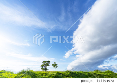 初夏の青空と雲と草原 初夏の青空と雲と草原 141194978