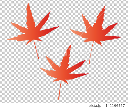 赤い紅葉の葉のグラデーションイラスト素材セット 赤い紅葉の葉のグラデーションイラスト素材セット 141196537