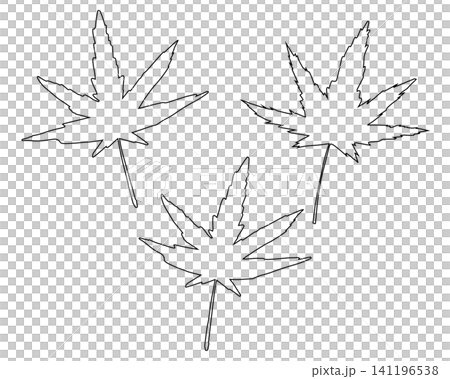 シンプルな紅葉の葉のシルエット線画イラストセット シンプルな紅葉の葉のシルエット線画イラストセット 141196538