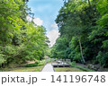 夏の青空と新緑に包まれた遊歩道 141196748