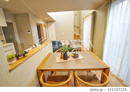 ペット同居型デザイナーズ住宅のお洒落なリビング ペット同居型デザイナーズ住宅のお洒落なリビング 141197139