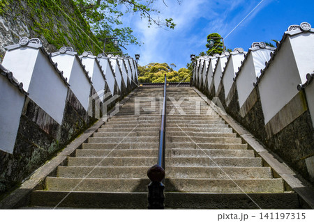徳島薬王寺の男厄坂 徳島薬王寺の男厄坂 141197315