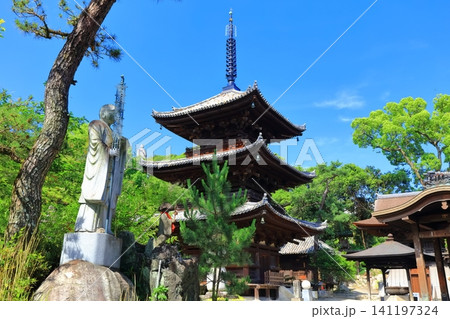 【愛媛県】四国霊場「第番51札所」熊野山 虚空蔵院 石手寺（三重塔） 141197324