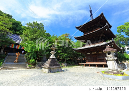 【愛媛県】四国霊場「第番51札所」熊野山 虚空蔵院 石手寺(三重塔と本堂) 【愛媛県】四国霊場「第番51札所」熊野山 虚空蔵院 石手寺(三重塔と本堂) 141197326
