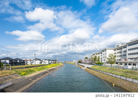 松戸市新松戸北地区を流れる坂川と住宅の風景 松戸市新松戸北地区を流れる坂川と住宅の風景 141197912