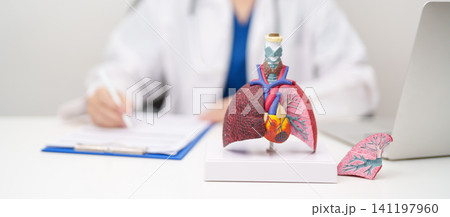 Doctor with Respiratory system anatomy for Diseases. Lung Cancer, Asthma, Chronic Obstructive Pulmonary or COPD, Bronchitis, Emphysema, Cystic Fibrosis, Bronchiectasis, Pneumonia and Pleural Effusion Doctor with Respiratory system anatomy for Diseases. Lung Cancer, Asthma, Chronic Obstructive Pulmonary or COPD, Bronchitis, Emphysema, Cystic Fibrosis, Bronchiectasis, Pneumonia and Pleural Effusion 141197960
