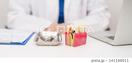 Dentist with tooth Anatomy model. Oral Teeth decay and disease, Scrape off tartar. March Oral health, Dentist Day, False Teeth. Toothache and Children Dental Health Month and Orthodontic Health Day Dentist with tooth Anatomy model. Oral Teeth decay and disease, Scrape off tartar. March Oral health, Dentist Day, False Teeth. Toothache and Children Dental Health Month and Orthodontic Health Day 141198011