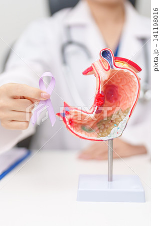 Doctor with Gastric anatomy model and Purple ribbon. November stomach cancer Awareness month, Gastroenterologist consultation, stomach diseases and ulcers, Gastroesophageal Reflux and Acid reflux Doctor with Gastric anatomy model and Purple ribbon. November stomach cancer Awareness month, Gastroenterologist consultation, stomach diseases and ulcers, Gastroesophageal Reflux and Acid reflux 141198016