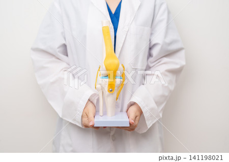 Doctor with Human Knee joint anatomy model. Osteoarthritis, Patellofemoral Pain Syndrome, Patellar Tendinitis, ACL, Anterior Cruciate Ligament, PCL, Posterior, MCL, Medial Collateral, LCL and Lateral 141198021