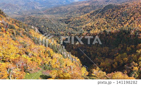北海道黒岳の紅葉と渓谷空撮│秋の大パノラマ 141198282